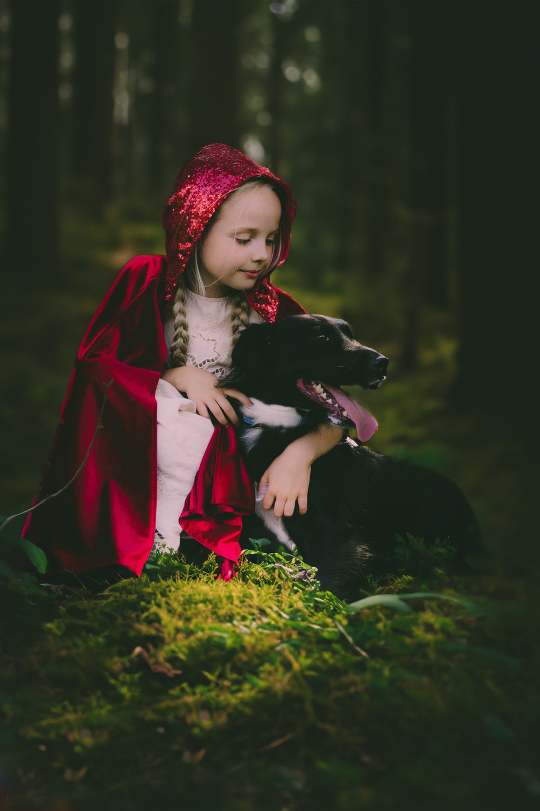 “Little Red Riding Hood” Magic Cape - Main Image